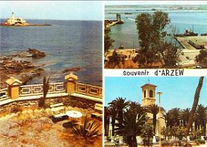 ARZEW 247